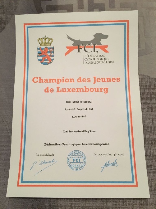 Des Bulls Du Hainaut - LYNO EST JEUNE CHAMPION DU LUXEMBOURG