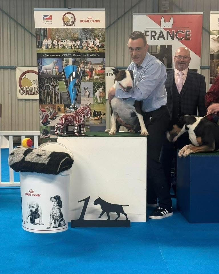 Des Bulls Du Hainaut - Nationale elavage CFABT 2026