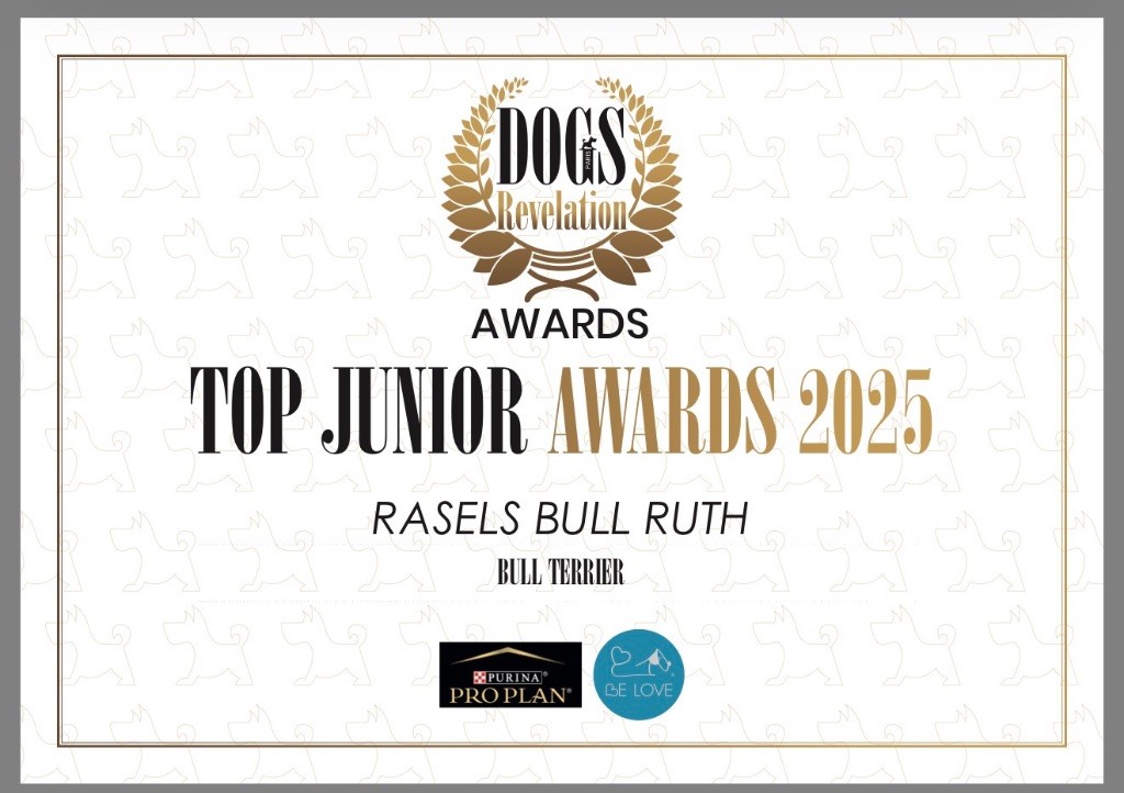 Diplôme Top Junior Award  2025 